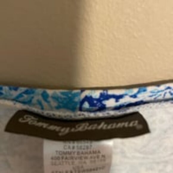 Bahama Striped Blue T Shirt Dress - Picture 3 of 3